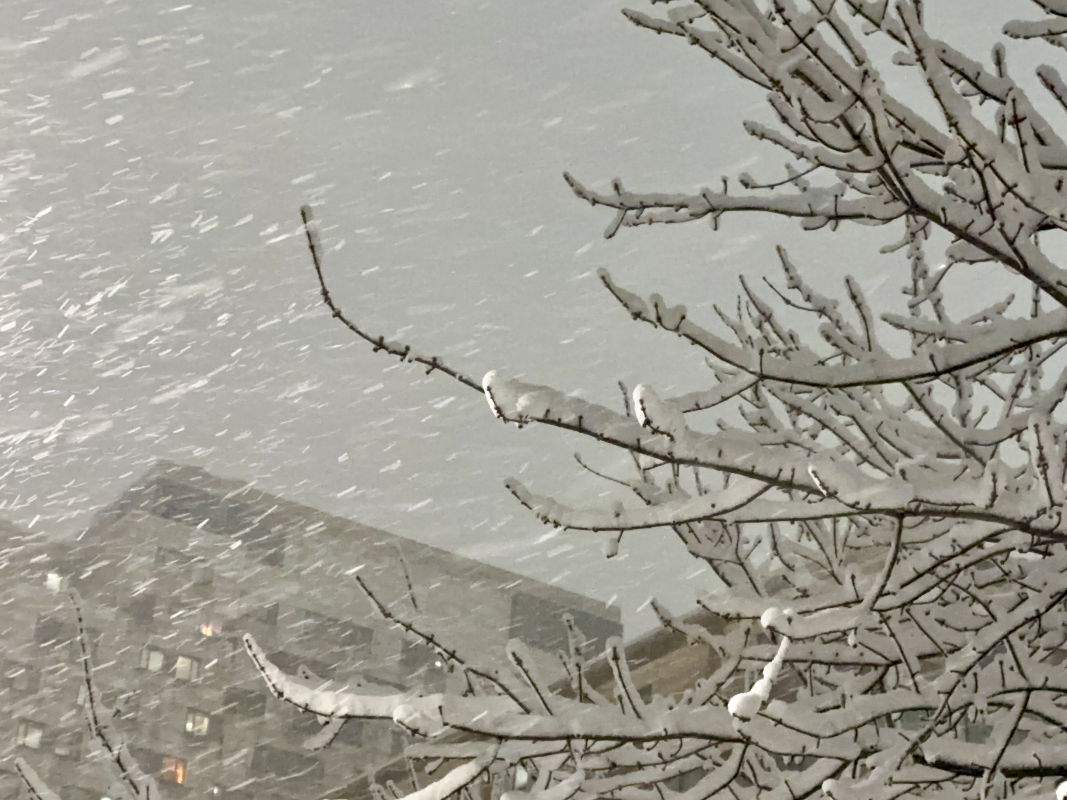 Snowstorm